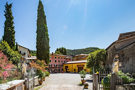 Azienda Agricola  Mazzi e Figli - photo 1