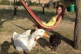 CORAZON VERDE SANTUARIO ANIMAL