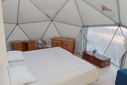 FOREST DOMES