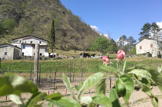 Agriturismo Di là dall'Acqua - photo 1