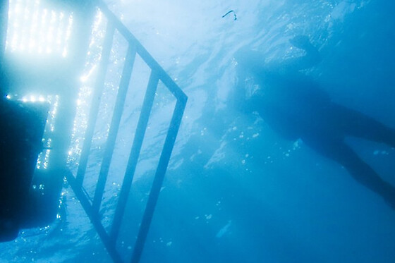 Cipreia Dive Club - photo 6