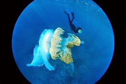 Cipreia Dive Club