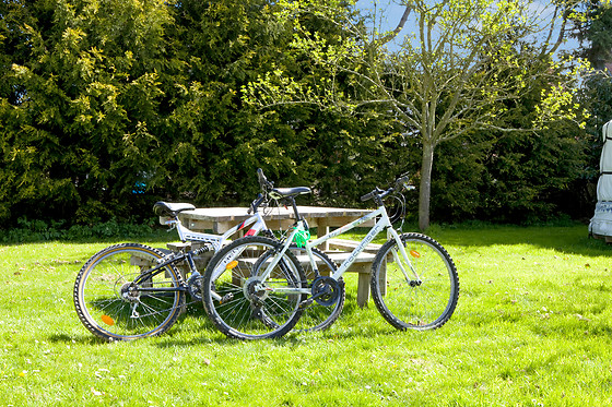Rando Yourte - photo 8