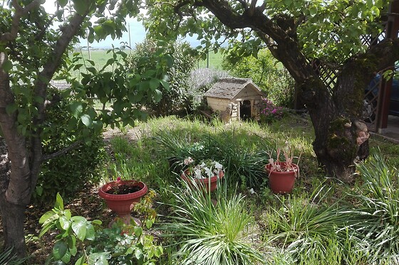 B&B Il Cantastorie - photo 1