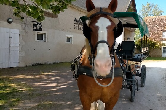 Le village de Cottages - photo 6