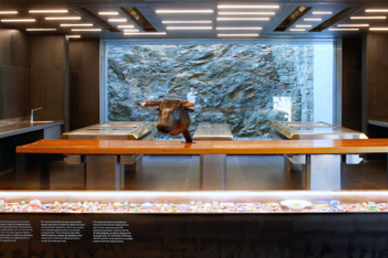 ELBULLI1846 - photo 1