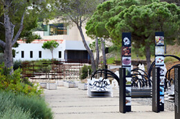 ELBULLI1846