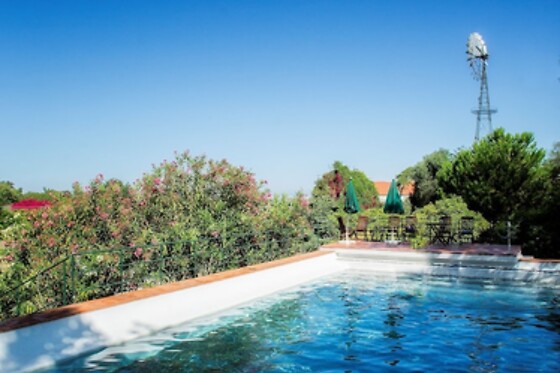 Online Booking EPS - photo 3