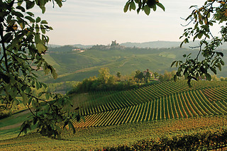 Soggiorno in famiglia all'Agriturismo Al Brich in provincia di Vicenza