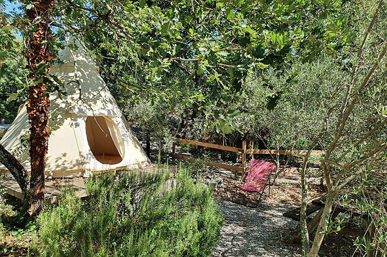 Les Roulottes et Cabanes de Saint-Cerice - photo 12