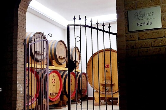 Aminea_winery - photo 0