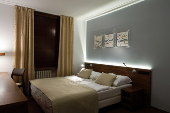 Hotel Carol - photo 8