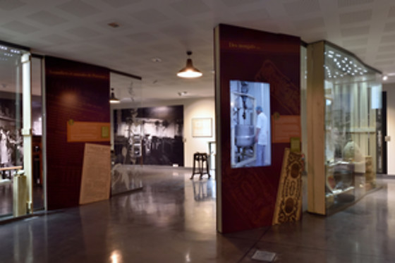 Calissons du Roy René - photo 1