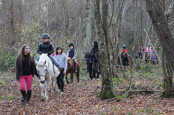 Poney Club de Saint-Christophe - photo 8