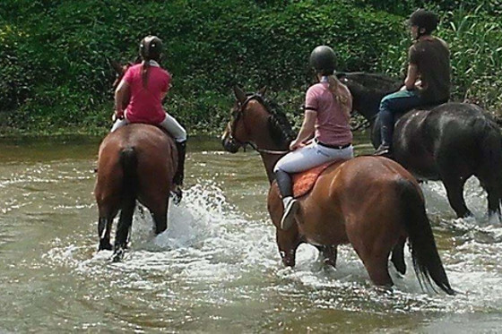 Poney Club de Saint-Christophe - photo 4