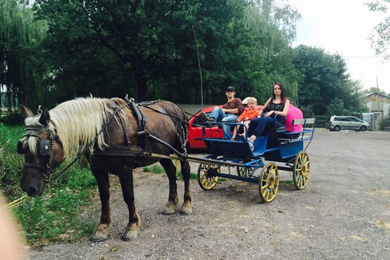 Poney Club de Saint-Christophe - photo 6