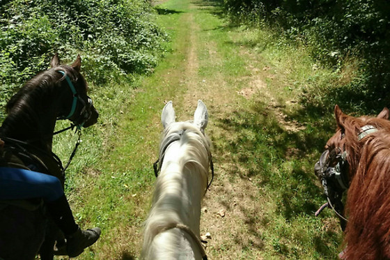 Poney Club de Saint-Christophe - photo 5