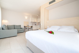 HOTEL ATENEA PARK SUITES-APARTAMENTS