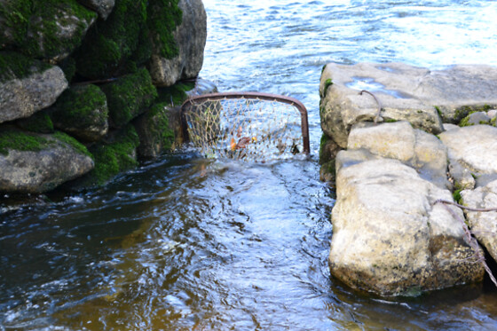 Melgaço WhiteWater - photo 1