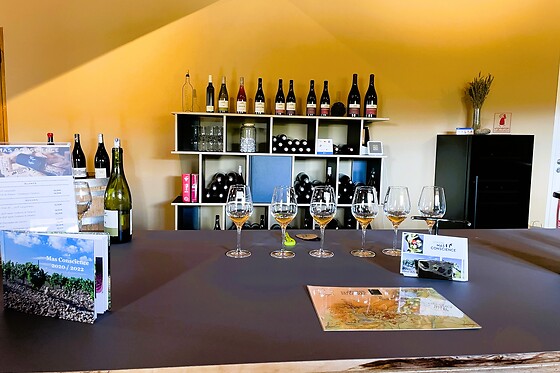 Destination Occitanie - photo 2