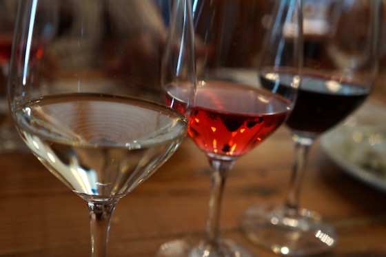 BODEGA MIQUEL JANÉ - photo 8