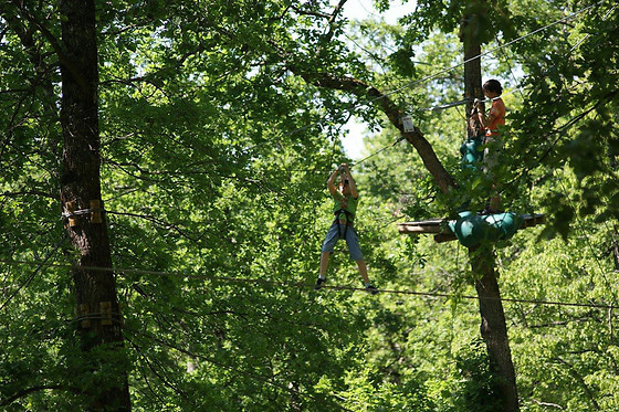Happy forest - photo 4
