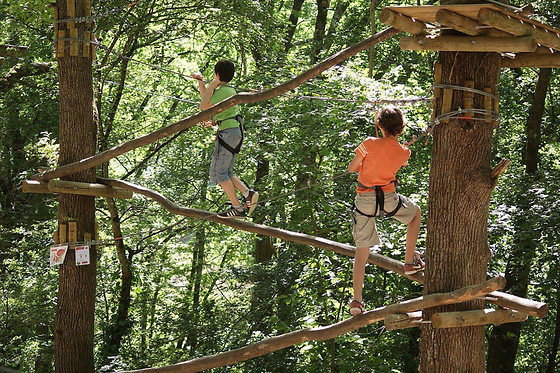 Happy forest - photo 5