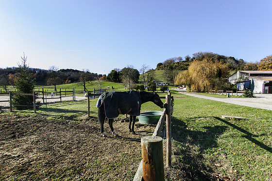 Domaine de la Trille - photo 4