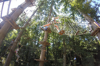 Avventura e divertimento presso l'Associazione Adrenalina Parco Avventura Casentino in provincia di Arezzo