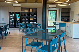 Visita alla cantina e ai vigneti con degustazione guidata di vini presso Az. Agricola Pqlin in provincia di Cuneo