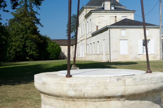 Oenanim - photo 9
