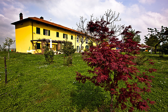 Eco Bio Agriturismo La Bella Vite - photo 3