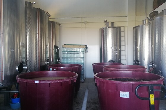 Az.Agricola Rabasco - photo 3