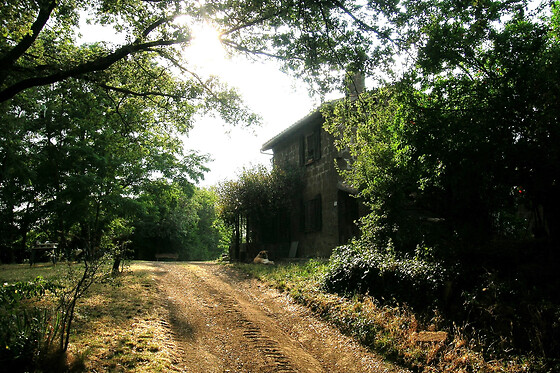 Poggio Del Castagno - photo 2