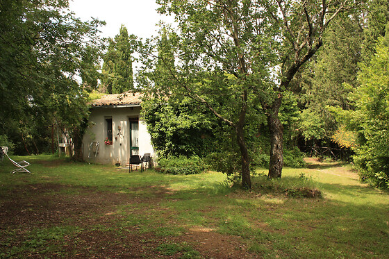 Poggio Del Castagno - photo 0