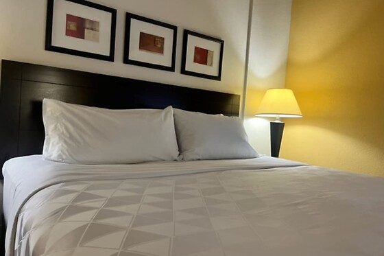 Online Booking EPS - photo 6