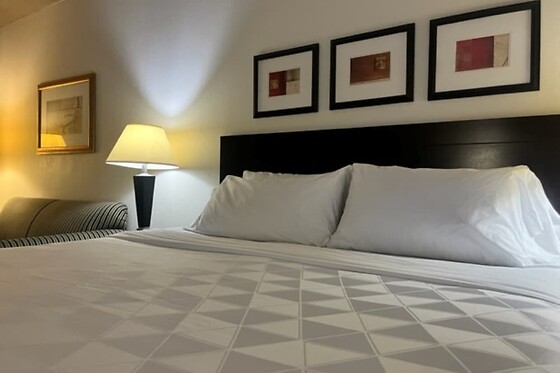 Online Booking EPS - photo 7