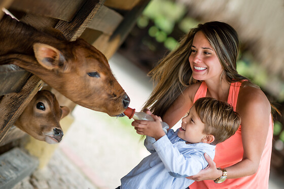 Ferme Le Bochet - photo 15