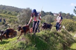 Terra Chã