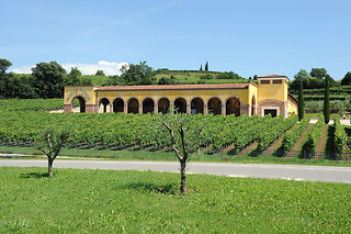 Soggiorno enogastronomico di una notte con visita alla cantina all'Azienda Agrituristica Montetondo in provincia di Verona