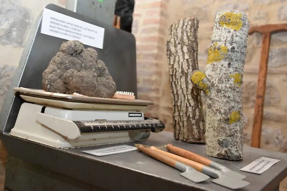 Soggiorno benessere di una notte con accesso spa presso Dimora il Tartufo in provincia di Campobasso