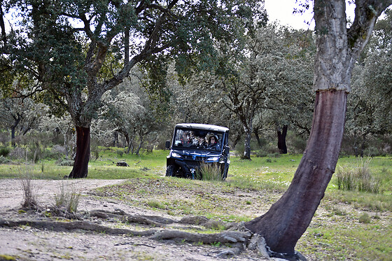 PANTHOS - photo 1