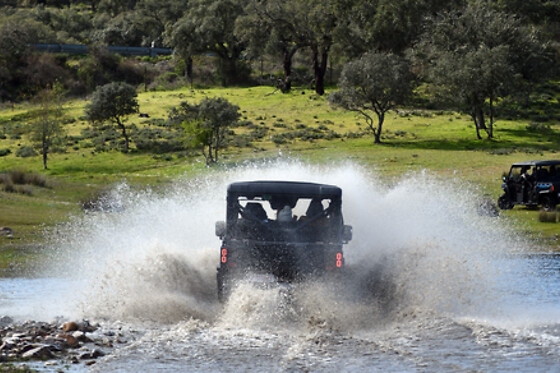 PANTHOS - photo 7