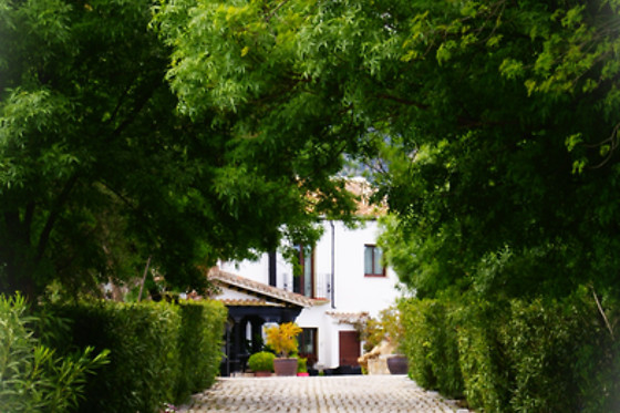 HOTEL SPA CORTIJO SALINAS - photo 4