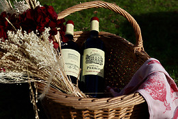 Château PERRON