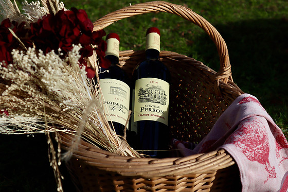 Château PERRON - photo 4