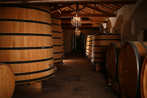 Château PERRON - photo 5