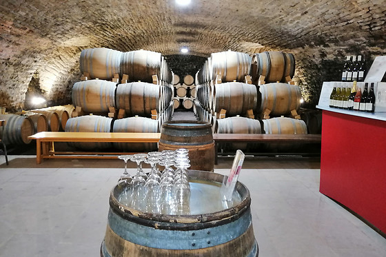 Château de la Greffière - photo 3