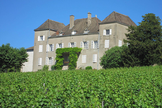 Château de la Greffière - photo 0
