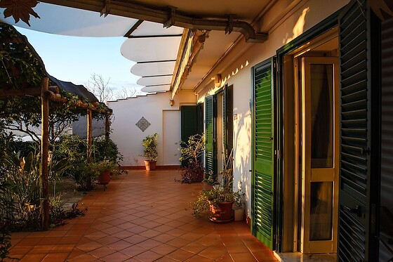 Online Booking EPS - photo 4